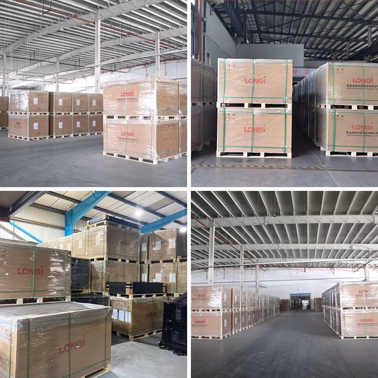 Longi Neuankömmling Himo